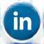 LinkedIn social media icon